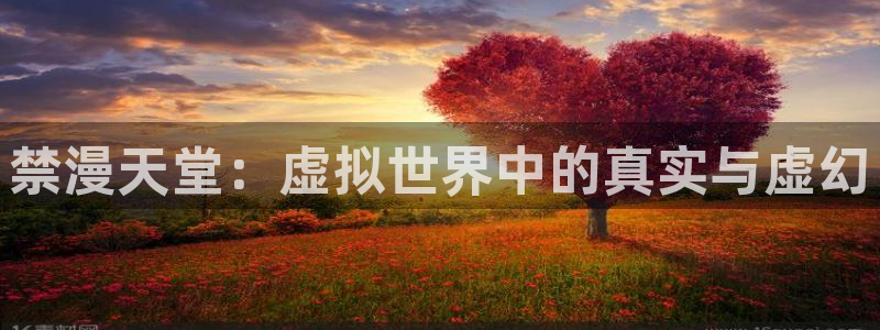 囧次元动漫官方正版：禁漫天堂：虚拟世界中的真实与虚幻