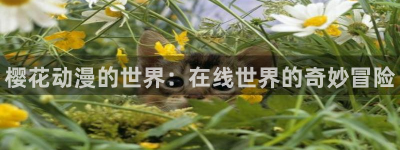 囧次元网站官网下载：樱花动漫的世界：在线世界的奇妙冒险