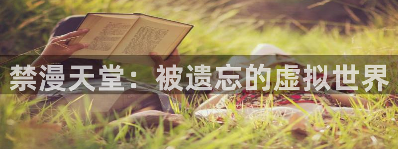 囧次元：禁漫天堂：被遗忘的虚拟世界