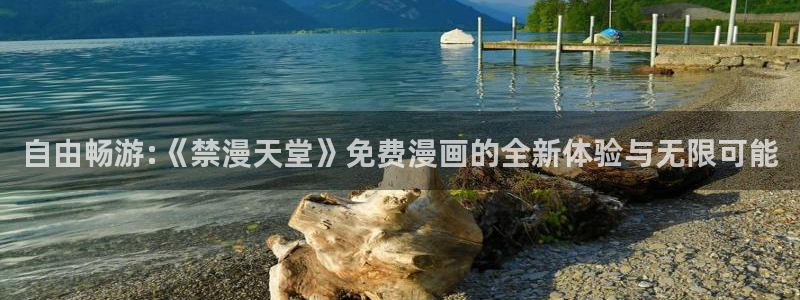 次元对决下载官网入口：自由畅游:《禁漫天堂》免费漫画的全新体验与无限可能
