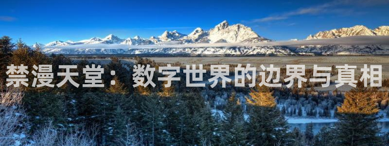囧次元1.5.8.1官网登录入口：禁漫天堂：数字世界的边界与真相