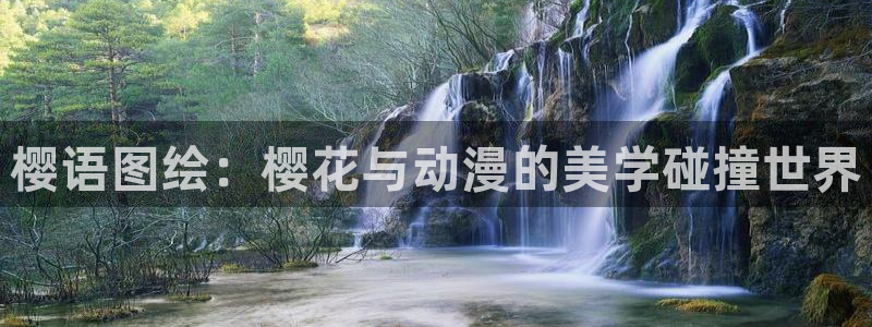 囧次元官方正版app：樱语图绘：樱花与动漫的美学碰撞世界
