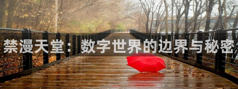 囧次元无：禁漫天堂：数字世界的边界与秘密