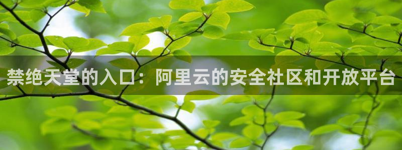 囧次元官网官网：禁绝天堂的入口：阿里云的安全社区和开放平台