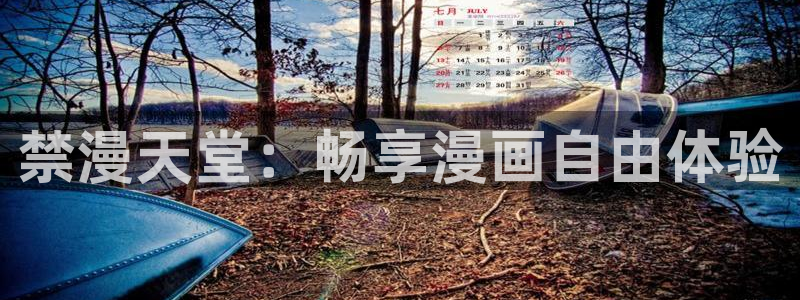 囧次元app官网入口下载：禁漫天堂：畅享漫画自由体验