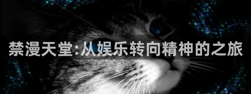 囧次元在线观看入口：禁漫天堂:从娱乐转向精神的之旅
