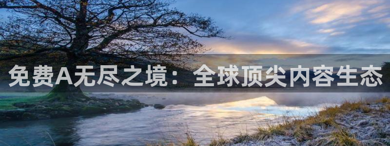 囧次元网页版入口网址：免费A无尽之境：全球顶尖内容生态