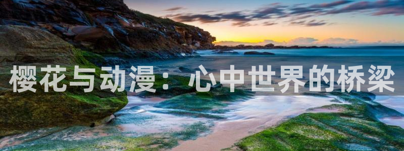 囧次元更新最新版本：樱花与动漫：心中世界的桥梁