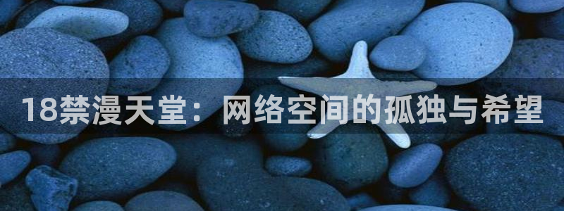 b次元官网版最新版：18禁漫天堂：网络空间的孤独与希望