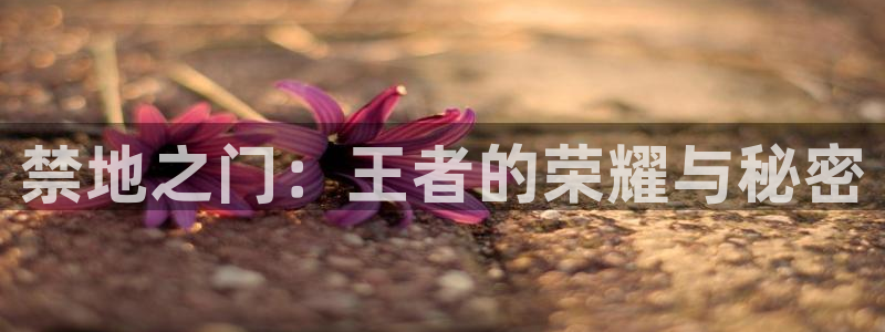 囧次元动漫官网下载入口：禁地之门：王者的荣耀与秘密