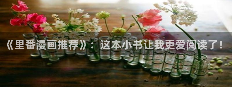 囧次元在哪下：《里番漫画推荐》：这本小书让我更爱阅读了！