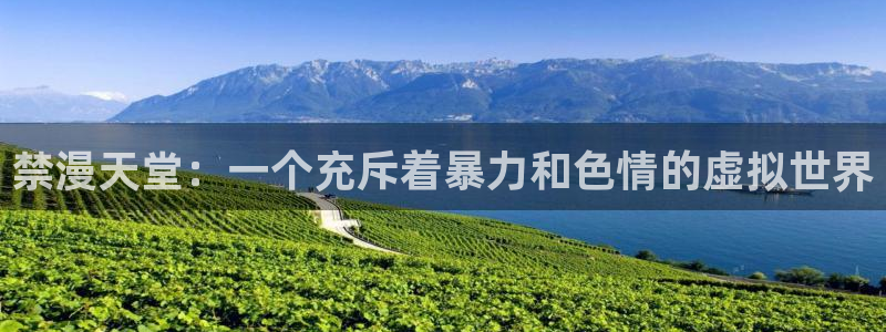 囧次元动漫官网入口观看：禁漫天堂：一个充斥着暴力和色情的虚拟世界