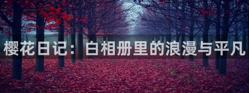 囧次元官网网址：樱花日记：白相册里的浪漫与平凡
