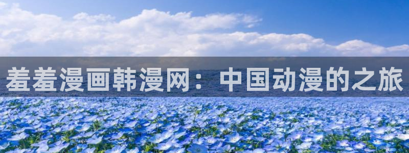 囧次元官方网站入口：羞羞漫画韩漫网：中国动漫的之旅