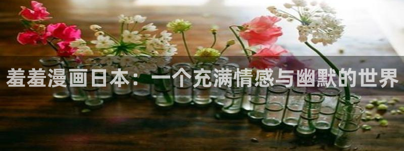 囧次元专注动漫的门户网站：羞羞漫画日本：一个充满情感与幽默的世界