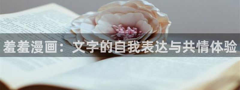 囧次元囧次元：羞羞漫画：文字的自我表达与共情体验